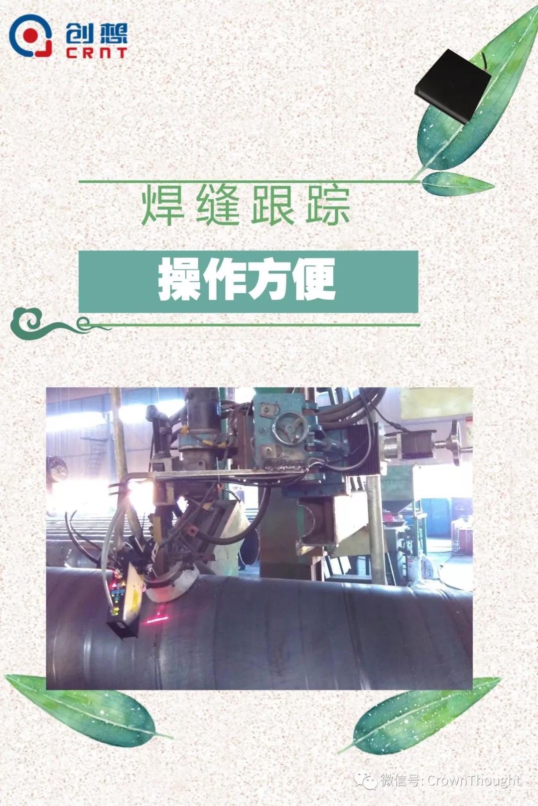 粽葉帶來的不僅僅是粽子，還有...